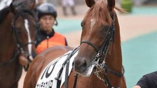 【JRA】札幌4Rでカッチョカバロが予後不良…3着内4回も未勝利脱出叶わず