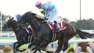 【キーンランドC予想】最内枠のダイアトニック、Vロード/JRAレース展望