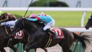 【キーンランドC前日オッズ】ダイアトニックが2.3倍で1番人気