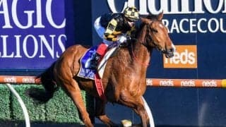 【豪州競馬】G1メムジーSは一番人気のベヒーモスが制覇、G3マクニールSにはロードカナロア産駒が出走/海外競馬レース結果