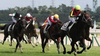 【新馬/新潟5R】ブラックタイド産駒 ブラックラテが2馬身差完勝！