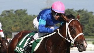 【新潟2歳S】戸崎「楽しみな馬」ショックアクションが重賞初V