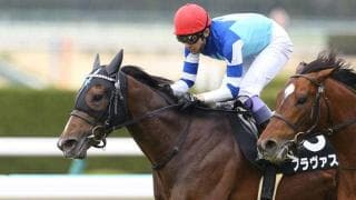 【新潟記念展望】夏季ローカル開催の最終戦、あの馬に期待したい