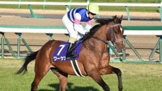 【新潟記念ハンデ確定】日本ダービー8着のワーケアは53.0kg、大阪杯4着のカデナは58.0kg