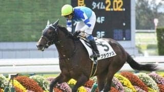 【新潟記念】ブラヴァスは福永祐一騎手、カデナは鮫島克駿騎手/想定騎手