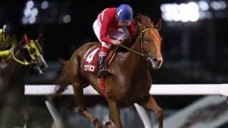 【芙蓉賞】代替開催でただ1頭、新たに参戦したウタマロが突き抜けて準重賞V！