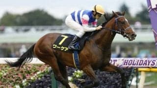 【新潟記念予想オッズ】3歳馬ワーケアが予想1番人気