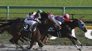 【先週のJRA抹消馬】オープン馬ルヴァンスレーヴ、ルグランフリソン、サフランハートなど