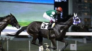 【スパーキングサマーC予想】ハイレベルな南関マイル路線!混戦を断つのはどの馬か!?/NARレース展望