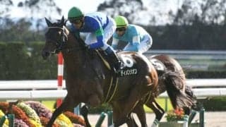 ディメンシオンが引退、重賞で3度の入着