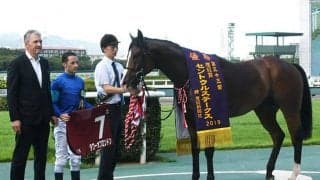 【セントウルS想定】重賞5勝馬ダノンスマッシュ、高松宮記念覇者ミスターメロディ、セイウンコウセイなど