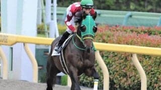【門別競馬情報】4連勝で重賞Vソロユニットの父アジアエクスプレス、門別で躍進中！今夜メイン12Rは「日高軽種馬青年部連合会特別」/地方競馬情報