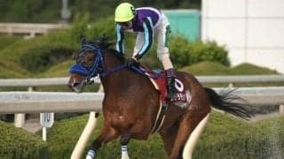 【園田オータムトロフィー予想】坂路でトモがパワーアップしたステラモナーク/NARレース展望