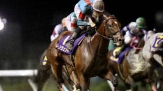 【スパーキングSC】売得金は5億円超えのレコード！昨年超える