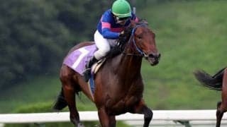 【ビギナーズC】エキストラエンド産駒マツリダスティールは5枠5番、グランプリボス産駒リュウノシンゲンは2枠2番