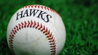 ソフトバンク、12球団初の「バーチャルYouTuber」オーディション開催　期間は22日まで