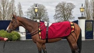 【海外競馬】THE EUROPEAN JOURNAL