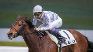 【海外競馬】ラルクと当歳