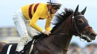 穴党記者垂涎の新潟記念。夏の最後に大穴４頭が高配当の花火を上げる