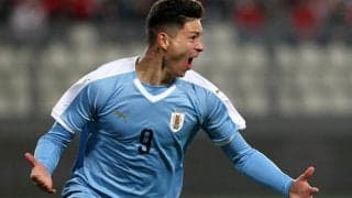 契約解除金は188億円、ベンフィカがウルグアイ代表の新鋭FWヌニェスを完全移籍で獲得