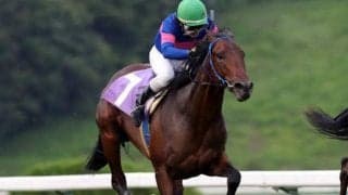 【ビギナーズカップ予想】ダートでも不安なし!!マツリダスティール3連勝に期待!!/NARレース展望