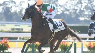 【本日の注目ポイント】ピンクカメハメハら出走の札幌2歳S、新潟ではディープインパクトの姪が初陣