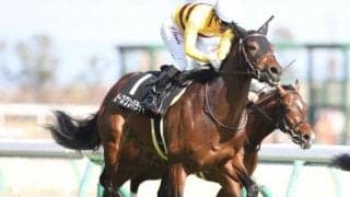 【新潟記念】「直近5年」の複勝率37.5％、複勝回収率100.1％！「大竹正博厩舎×池添謙一騎手」のピースワンパラディ/ゴールデンコンビ