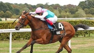 【英G3・セプテンバーS】凱旋門賞3勝目へ向けエネイブル出陣、斤量61kgも断然人気