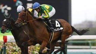 【新潟記念予想】 波乱含みのハンデ戦を攻略するための3つの条件！ “気象予想”が導き出した注目馬は？/JRAレース展望