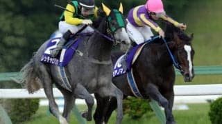 【不来方賞】東北優駿の優勝馬フレッチャビアンカは2枠2番、同2着ピアノマンは7枠7番