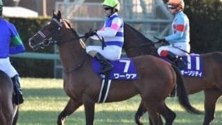 【新潟記念前日オッズ】ワーケアが5.3倍で1番人気