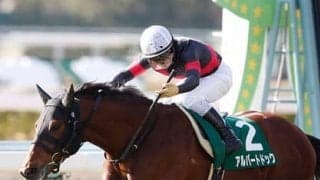 まもなく初陣を迎えるエイスオーシャン「長くいい脚を使えるタイプ」