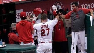 【MLB】トラウトの全300本塁打動画に米驚愕「全部同じに見える」「信じられない再現性」