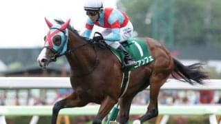 【セントウルS展望】中京開催のスプリンターズS前哨戦、好走の条件とは