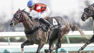 【紫苑S】ラスト1枠を9頭が争う抽選、フルゲート18頭に26頭が登録/出走馬決定順