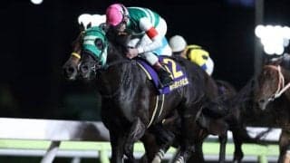 【大井・東京記念】連覇狙うストライクイーグルらスタミナ自慢が集結/レースの見どころ(地方競馬)