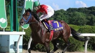 【霧島賞】“九州産馬の天皇賞”レース4度目の勝利を狙うキヨマサは7枠8番、幸英明騎手とコンビのダンツブライトは3枠3番