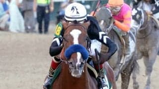 【米・ケンタッキーダービー】売上は7940万ドルで前年比52%ダウン