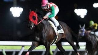 【大井・アフター5スター賞】サブノジュニア、待望の重賞初制覇なるか/レースの見どころ(地方競馬)