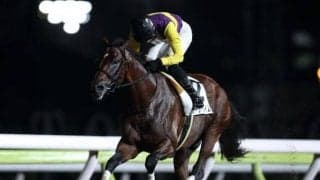 【東京記念予想】ホーリーブレイズが転入2戦目で制覇へ!!/NARレース展望