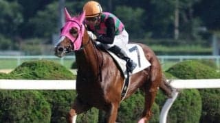 【霧島賞レース予想】昨年2着の雪辱を！ダンツブライト 霧島賞3勝キヨマサは59kgが課題/NARレース展望