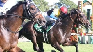 【新潟記念】大魔神ブラヴァスがゴール前の大接戦を制する