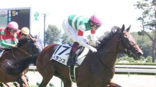 【新馬/新潟5R】ハービンジャー産駒 レベランスが大外一気で突き抜ける