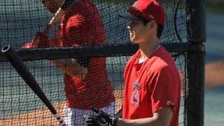 【MLB】大谷翔平、3試合ぶりベンチスタート　指揮官「苦しんでるのは間違いない」