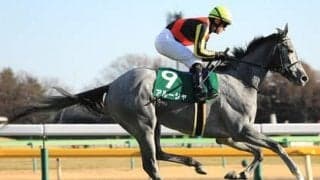 穴党記者は知っている--京成杯AHで波乱を起こすのはどんなタイプか