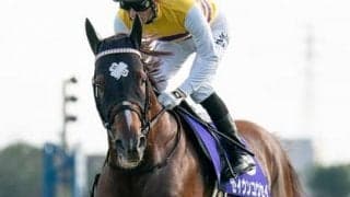 中京で行なわれるセントウルＳ。同舞台を得意とする古豪の一発がある