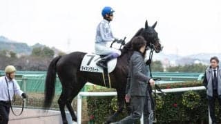 良血タイミングハートは1勝クラスを目指して続戦