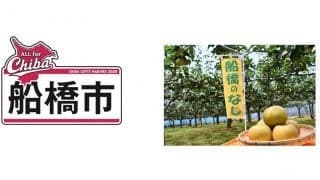 ロッテが「船橋のなし」5キロを70名に贈呈　今日13日のオリ戦前にキーワード発表