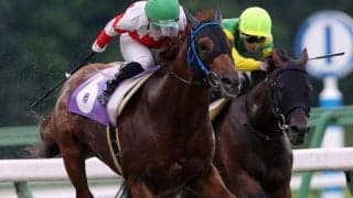 【青藍賞予想】ここでは負けられないヒガシウィルウィンの1強か!?/NARレース展望