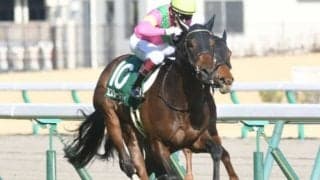 【セントウルS予想】得意舞台でミスターメロディの復活Vに期待